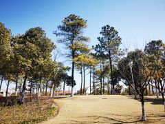 -美兰湖景区