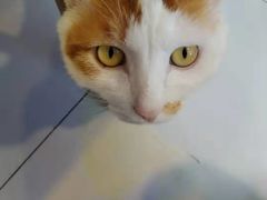 -平行世界·猫咖(首经贸店)