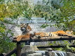 -北京野生动物园