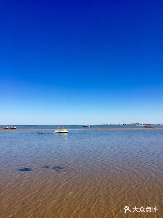 碣石海滩-图片-绥中县周边游-大众点评网