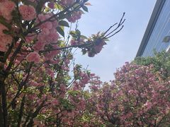 -西南林业大学(白龙校区)