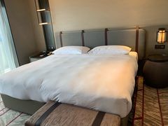 -新加坡瑞士史丹福酒店