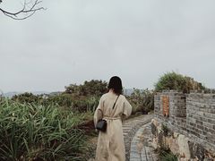-东沙渔村