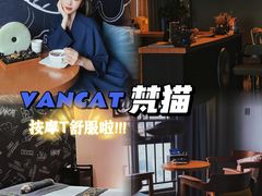 -梵猫·新养生(湛江鼎盛店)