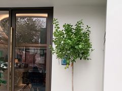 -fishtank鱼缸咖啡(三山街店)