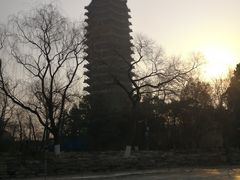 -博雅塔