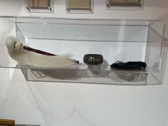 -星云文教馆