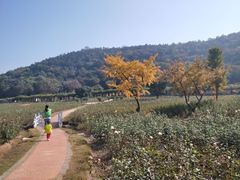 -龙寺生态园