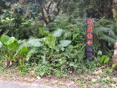 -马咖啡macup·意式轻餐·观景餐厅