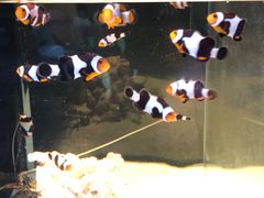 -沈阳海洋探索中心