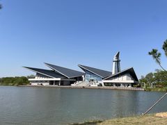 -盐城丹顶鹤湿地生态旅游区