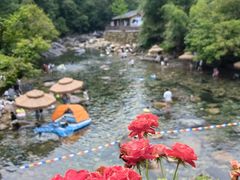 -石台牯牛降景区