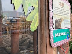 -杭州长乔极地海洋公园
