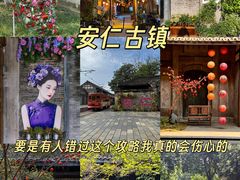 -安仁古镇