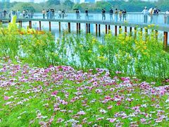 -海珠湖公园