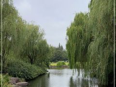 -上海滨江森林公园