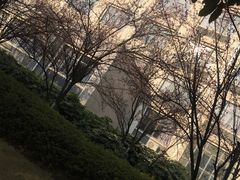 -江南大学(蠡湖校区)