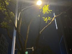 -私房小厨(康城路店)