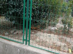 -呼吸森林·生态农庄农家乐私房菜