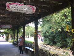 -白马涧龙池景区