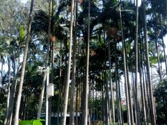 -北海市海滨公园