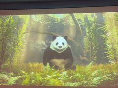 -国家地理探险家中心