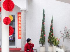 -the coffee_得咖啡(中英街店)