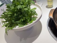 -烹然四季椰子鸡火锅(姚家园万象汇店)