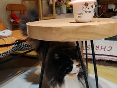 -小时光咖啡馆(开森度假森林店)