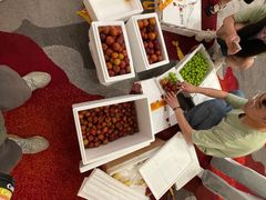 -上海虹桥西郊假日酒店