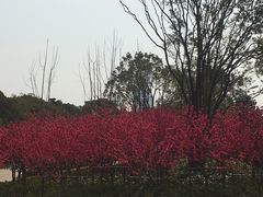 -上海市龙华烈士陵园