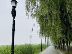 -婆婆粉(江北店)