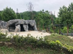 -都江堰中华大熊猫苑