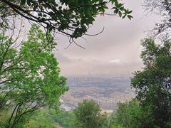 -火炉山森林公园