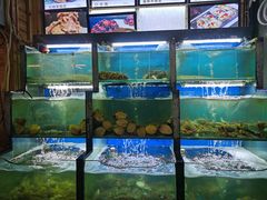 -老东镇啤酒屋海鲜加工·蒸汽海鲜·海鲜烧烤(台东店)