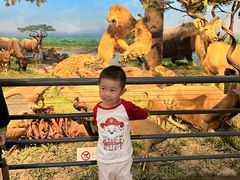 -国家自然博物馆