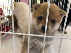 -万达广场(北京槐房店)