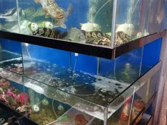 水产区-美味海鲜大排档(明发美食地标店)