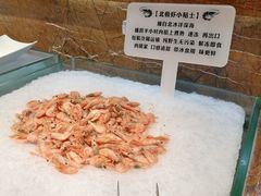 北极虾-汉巴味德(大悦城店)