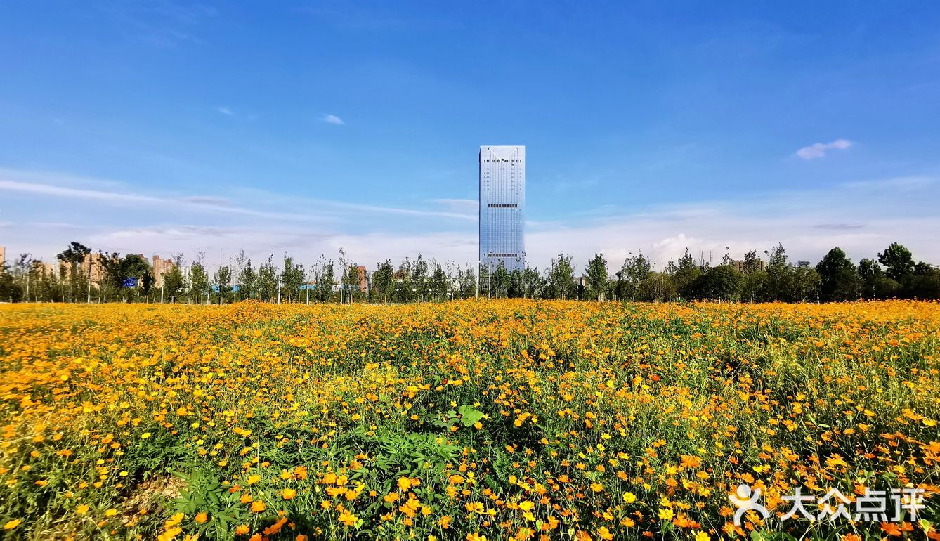 ☀️这个盛夏，遇见长沙的莫奈花园🌼