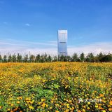 ☀️这个盛夏，遇见长沙的莫奈花园🌼