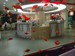 -芳妮豆丁家庭影像馆(宝安店)