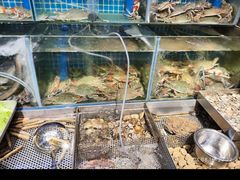 -77号渔船·蒸海鲜青岛菜(积米崖店)