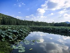 -云龙湖旅游景区