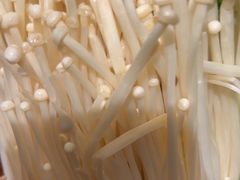 -老员外骨汤火锅(海州古城店)