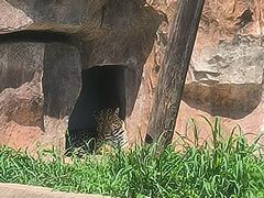 -沈阳森林动物园