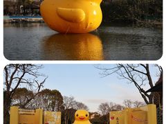 -扬州瘦西湖温泉
