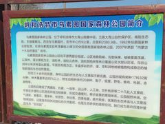 -乌素图国家森林公园