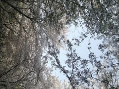 -上方山森林动物世界