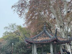 -杭州西湖风景名胜区-钱塘苏小小之墓
